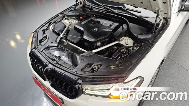 BMW 5 Series (G30) 530i xDrive Luxury Plus 2018 — фото 6