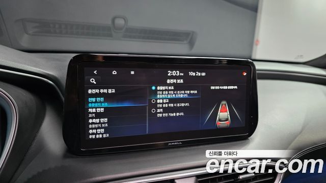 Hyundai Santa Fe Diesel 2.2 2WD Calligraphy 2021 — фото 16