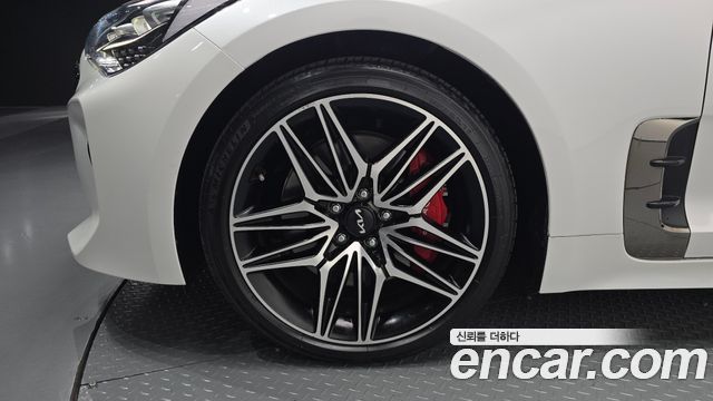 Kia Stinger Meister 2.5 AWD Masters 2023 — фото 5