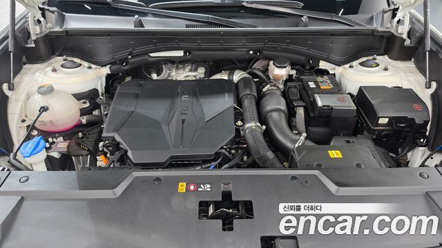 Hyundai Santa Fe (MX5) Gasoline 2.5T 2WD Calligraphy 2024 — фото 6