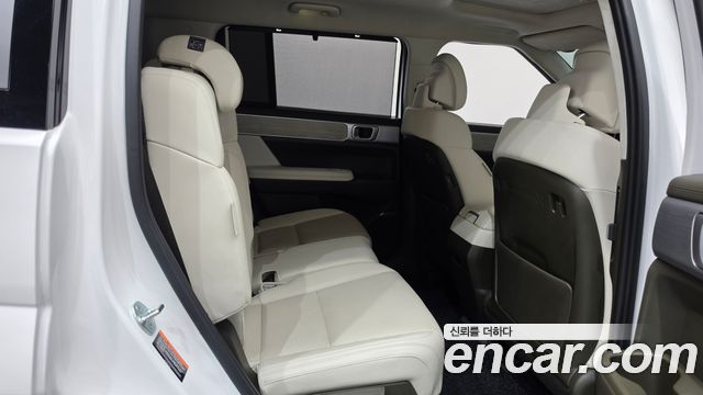 Hyundai Santa Fe (MX5) Gasoline 2.5T 2WD Calligraphy 2024 — фото 12