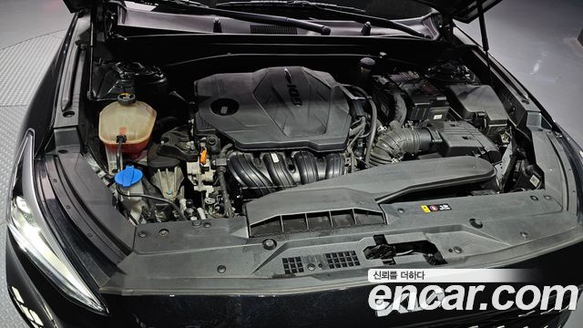 Kia K8 2.5 Gasoline 2WD Noblesse Light 2022 — фото 6