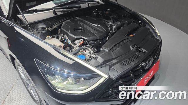 Hyundai Sonata (DN8) 2.0 Premium Plus 2022 — фото 6