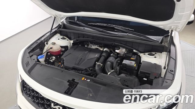 Kia Sorento (IV) Gasoline 2.5T 2WD Noblesse 2023 — фото 6