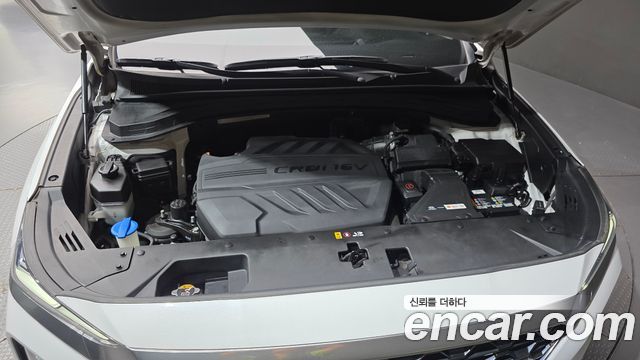 Hyundai Santa Fe (TM) Diesel 2.0 2WD Prestige 2019 — фото 6