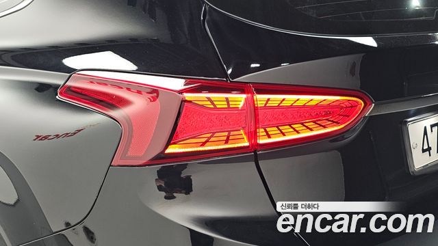 Hyundai Santa Fe (TM) Diesel 2.2 2WD Inspiraition 2019 — фото 23