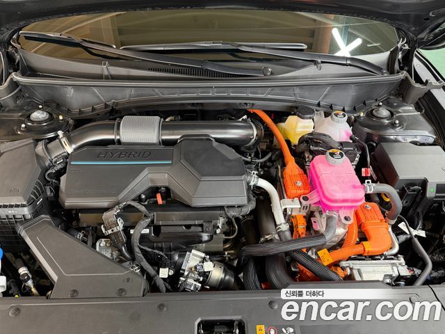 Hyundai Tucson Hybrid (NX4) HEV 1.6 2WD Modern 2025 — фото 6