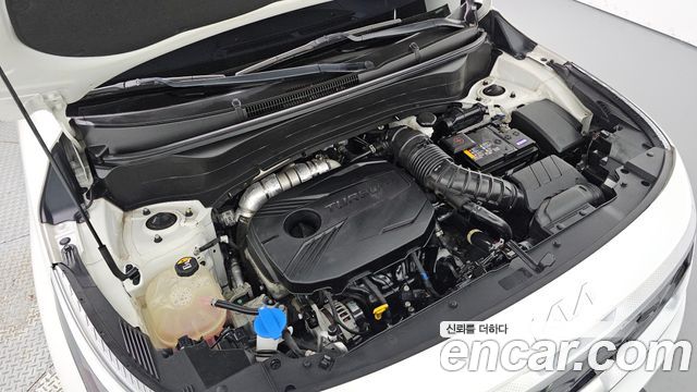 Kia Seltos Gasoline 1.6 Turbo 2WD Signature 2023 — фото 6