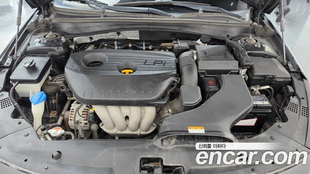 Kia K5 (II) 2.0 LPI Rental Car Luxury 2020 — фото 6