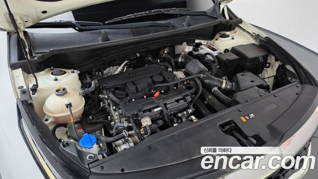 Kia Sportage (V) Gasoline 1.6 Turbo 2WD Nobleless 2022 — фото 6