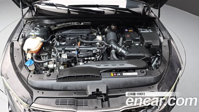 Kia K5 (III) 1.6 Turbo Signature 2023 — фото 6