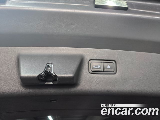 Hyundai Santa Fe (MX5) HEV 1.6 2WD Calligraphy 2024 — фото 20