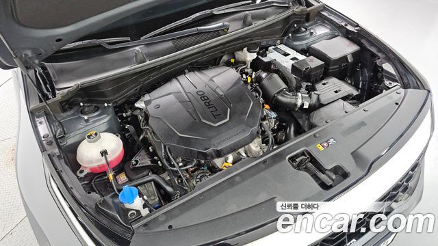 Kia Sportage (V) Diesel 2.0 2WD Trendy 2022 — фото 6