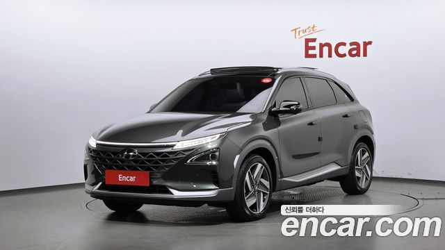 Hyundai Nexo Premium 2024 — фото 1