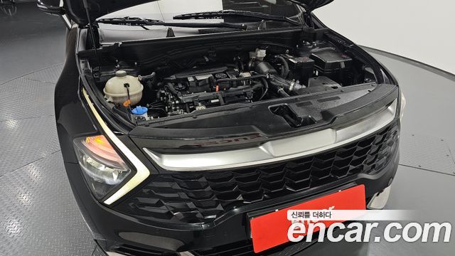 Kia Sportage (V) Gasoline 1.6 Turbo 2WD Nobleless 2022 — фото 6