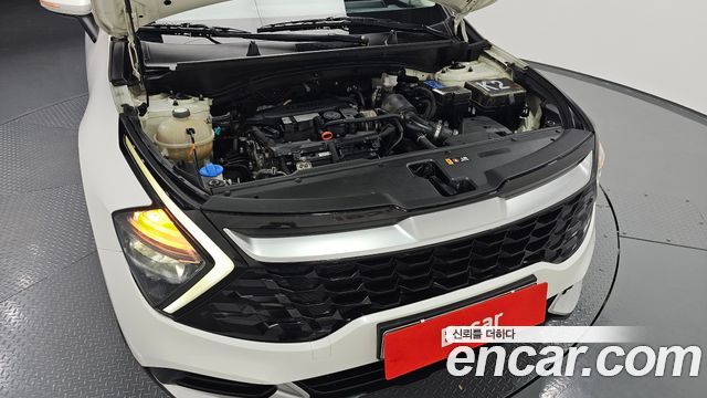 Kia Sportage (V) Gasoline 1.6 Turbo 2WD Prestige 2022 — фото 6