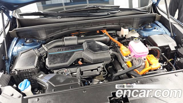 Kia Sorento (IV) HEV 1.6 2WD Prestige 2023 — фото 6