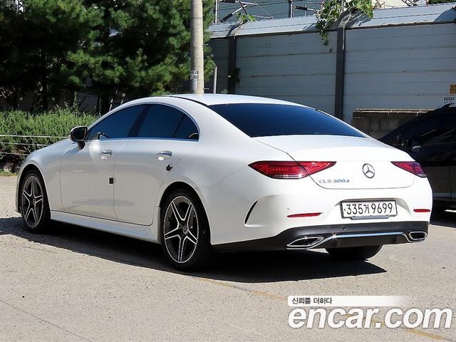 Mercedes-Benz CLS-Class (C257) CLS300d AMG Line 2019 — фото 3