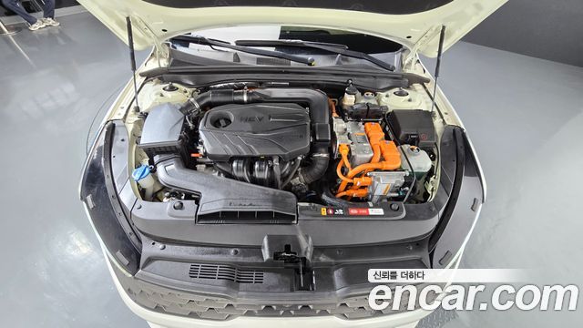 Kia K5 Hybrid (III) Noblesse 2020 — фото 6