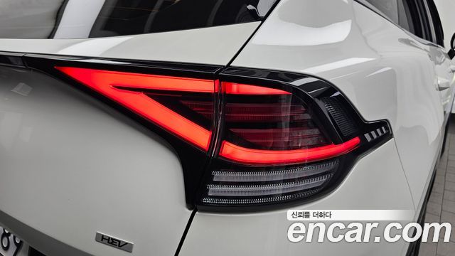 Kia Sportage Hybrid (V) Nobleless 2WD 2022 — фото 23