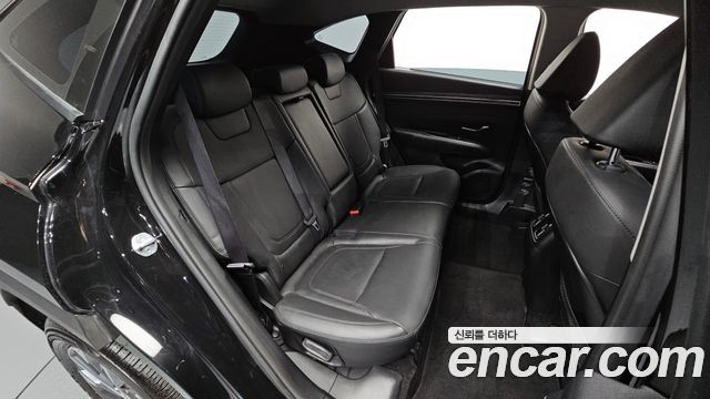 Hyundai Tucson (NX4) Gasoline 1.6 Turbo 2WD Premium 2023 — фото 11