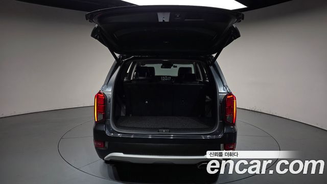Hyundai Palisade Diesel 2.2 4WD Exclusive 2019 — фото 20