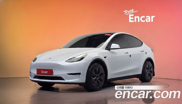 Tesla Model Y Long Range AWD 2024 — фото 1