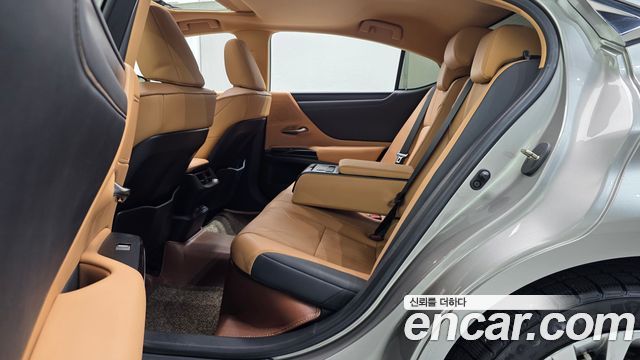 Lexus ES300h (VII) Luxury Plus 2023 — фото 12