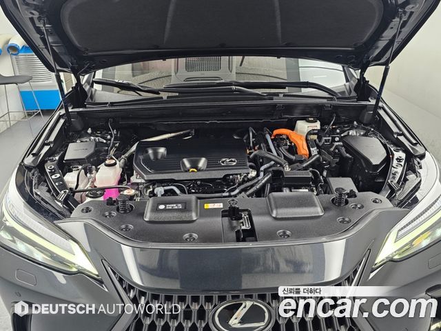 Lexus NX350h (II) Luxury 2025 — фото 6
