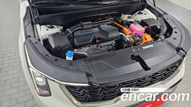 Kia Sorento (IV) HEV 1.6 4WD Noblesse 2024 — фото 6