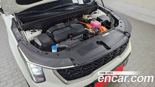 Kia Sorento (IV) HEV 1.6 4WD Noblesse 2024 — фото 6