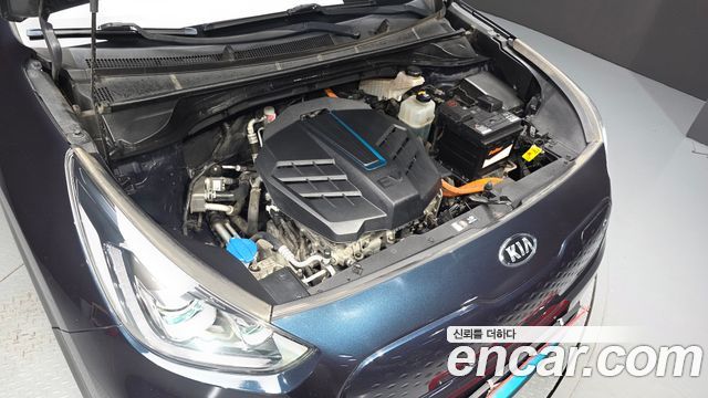 Kia Niro EV Noblesse 2019 — фото 6
