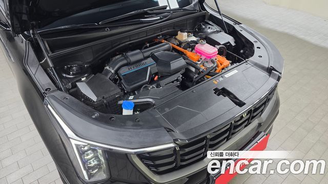 Kia Sorento (IV) HEV 1.6 4WD Gravity 2024 — фото 6