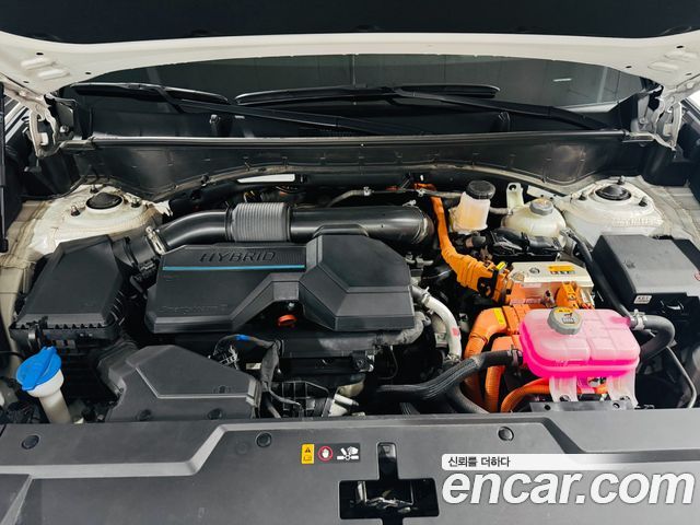 Hyundai Santa Fe (MX5) HEV 1.6 2WD Calligraphy 2024 — фото 5