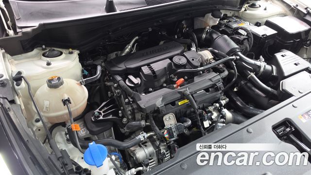 Kia Sportage (V) Gasoline 1.6 Turbo 4WD Noblesse 2025 — фото 6