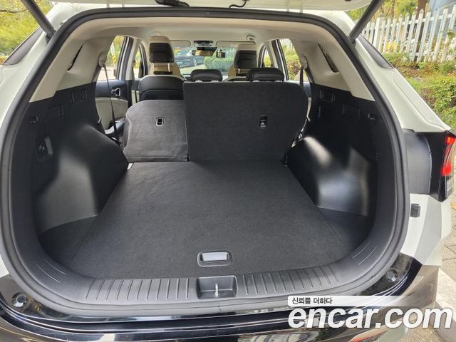 Kia Sportage (V) Gasoline 1.6 Turbo 2WD Signature 2024 — фото 16