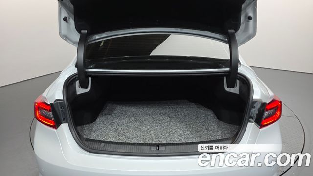 Renault Korea SM6 2.0 GDe RE 2017 — фото 20