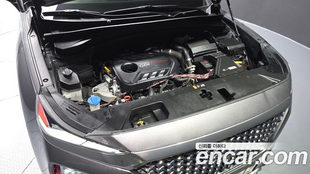 Hyundai Santa Fe (TM) Gasoline 2.0T 2WD Inspiration 2019 — фото 6