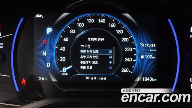 Hyundai Santa Fe (TM) Gasoline 2.0T 2WD Inspiration 2019 — фото 27