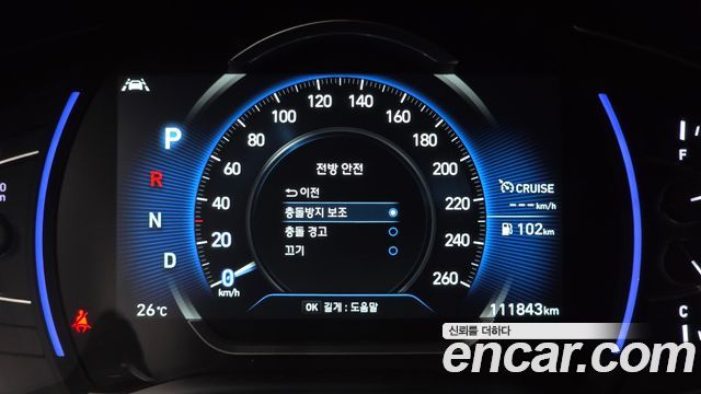Hyundai Santa Fe (TM) Gasoline 2.0T 2WD Inspiration 2019 — фото 29