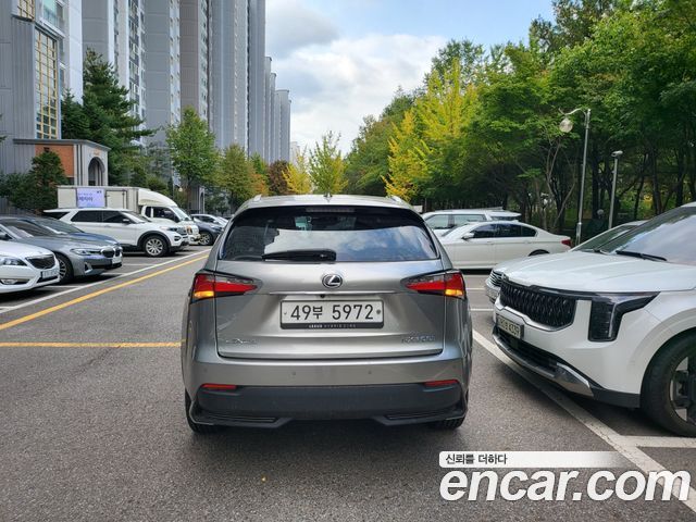 Lexus NX300h Executive 2017 — фото 5