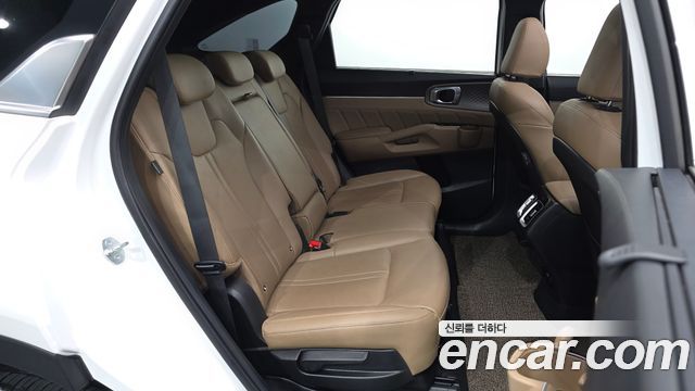 Kia Sorento (IV) Gasoline 2.5T 2WD Noblesse 2024 — фото 12