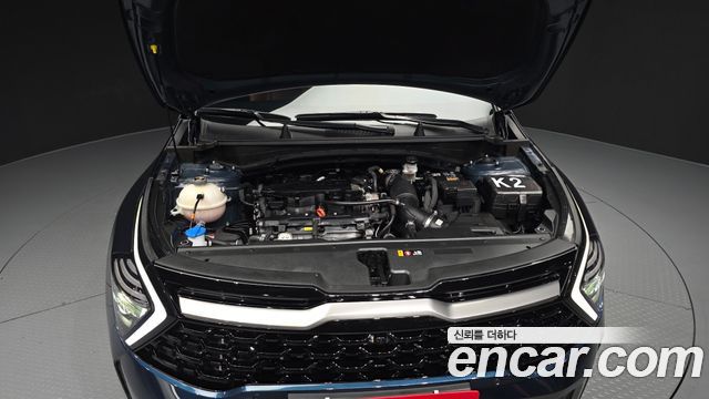 Kia Sportage (V) Gasoline 1.6 Turbo 2WD Nobleless Gravity 2024 — фото 6