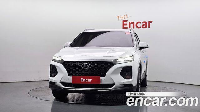 Hyundai Santa Fe (TM) Diesel 2.0 2WD Exclusive 2019 — фото 3