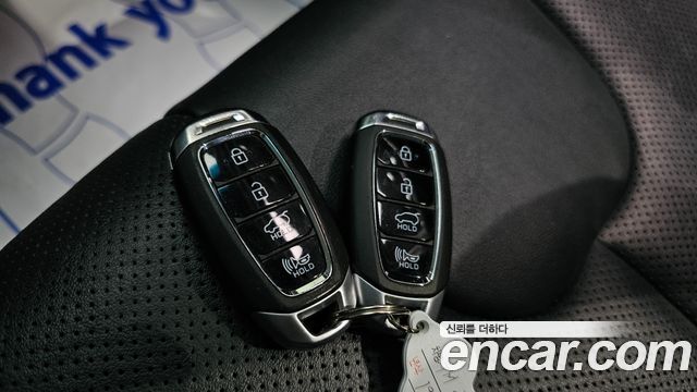 Hyundai Santa Fe (TM) Diesel 2.0 2WD Exclusive 2019 — фото 16