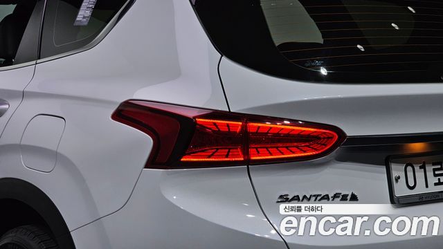 Hyundai Santa Fe (TM) Diesel 2.0 2WD Exclusive 2019 — фото 23
