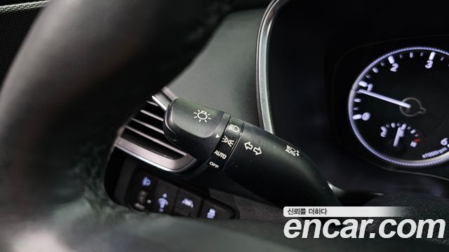 Hyundai Santa Fe (TM) Diesel 2.0 2WD Exclusive 2019 — фото 29