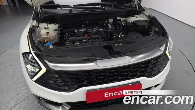 Kia Sportage (V) Gasoline 1.6 Turbo 2WD Nobleless 2022 — фото 6