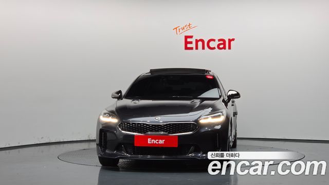 Kia Stinger 2.0 Turbo 2WD Platinum 2019 — фото 3