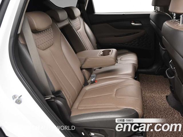 Hyundai Santa Fe (TM) Diesel 2.2 2WD Prestige 2019 — фото 16